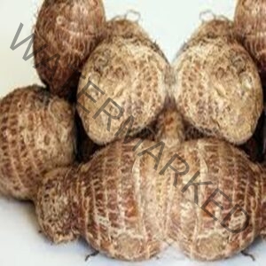 GROUND/ 10 PIECES OF WHITE COCOYAM (EDE)