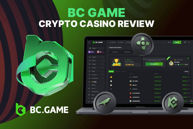 Exploring the Innovative World of BC.Game Platform
